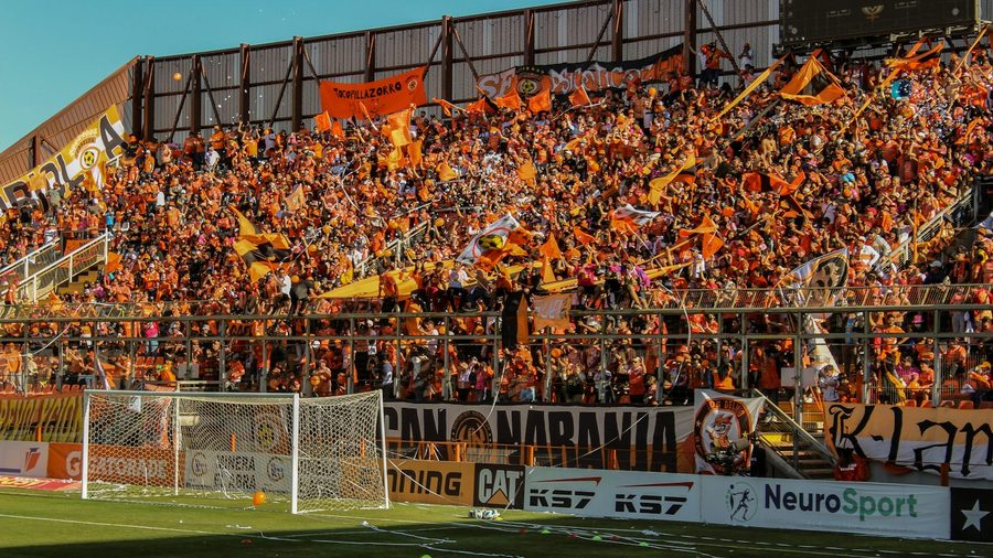 MK体育 APP — 营业执照与资质公示示意配图